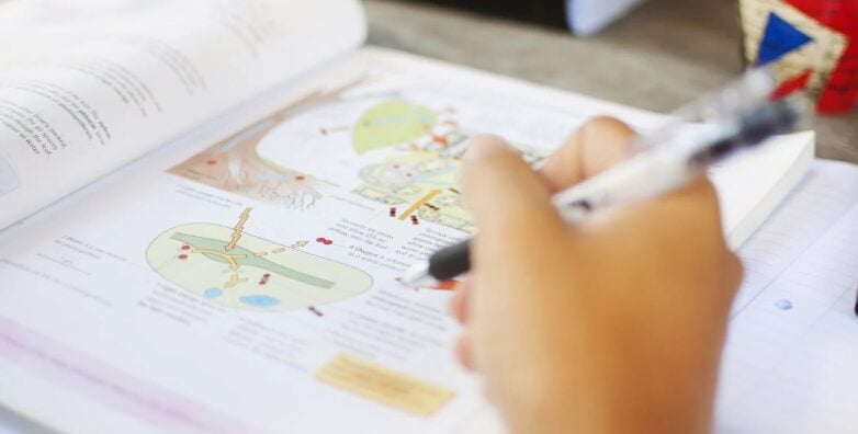 Top 10 IGCSE Tuition Centres in Singapore That Students Recommend