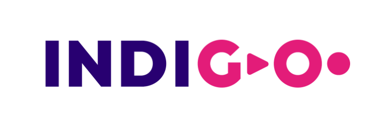 Indigo Education Group tuition Singapore